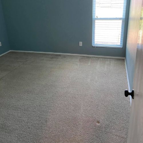 Carpet Cleaning in Frisco, TX