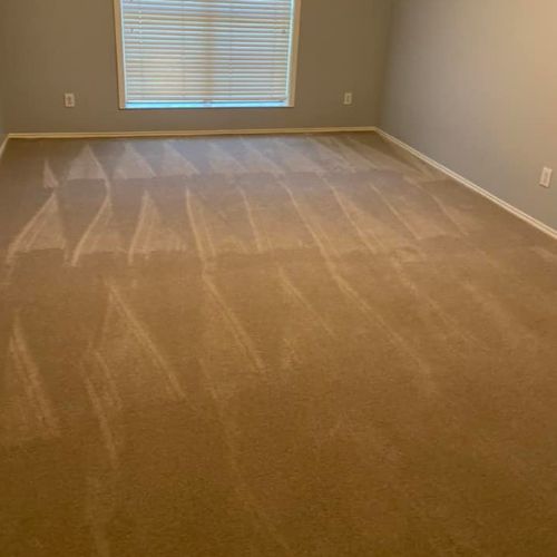 Carpet Cleaning in Frisco, TX